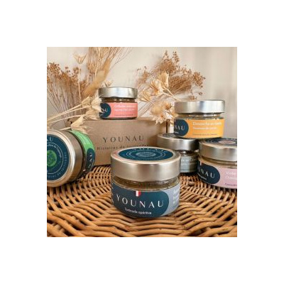 Houmous de carottes pour l'apéritif avec gressin Younau